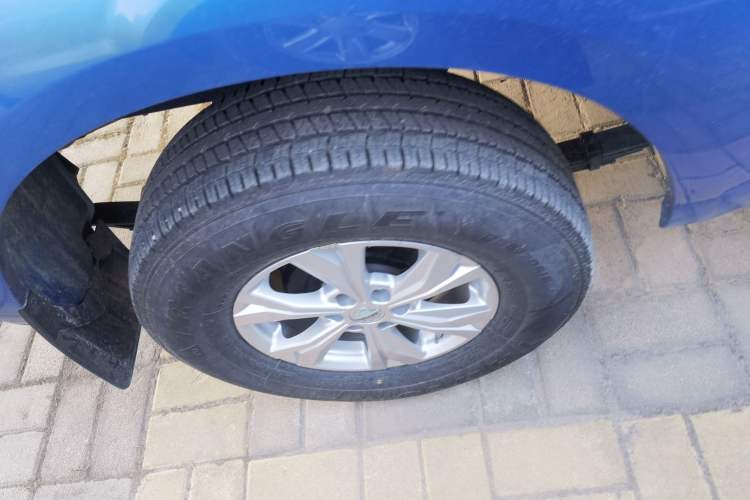 Used Dongfeng Ruichi 6 2021 2.3T Automatic Two-Wheel Drive Diesel Luxury Long-Box M9T Exterior 5