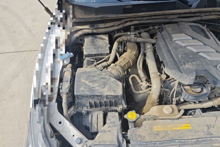 Used Dongfeng Ruichi 6 2021 2.3T Manual 4x4 Diesel Standard Version with Flat Bottom and Extended Cargo Bed M9T Engine Bay Right