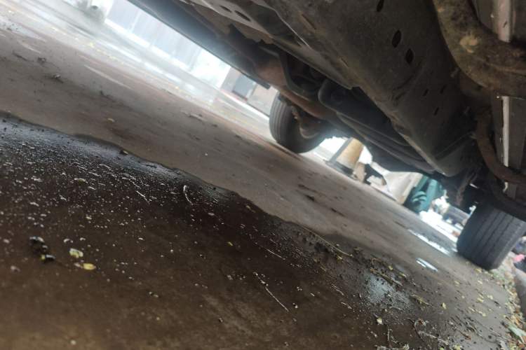 Used Dongfeng Ruichi 6 2023 2.3T Manual 4x4 Diesel Standard Version Chassis Front Left