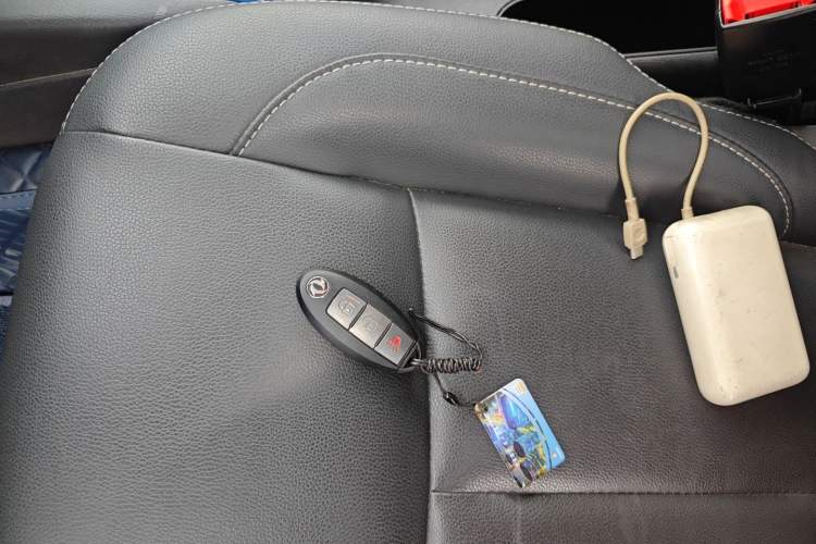 Used Dongfeng Ruichi 6 2023 Bucket-Style Standard Version 350 km Vehicle Key