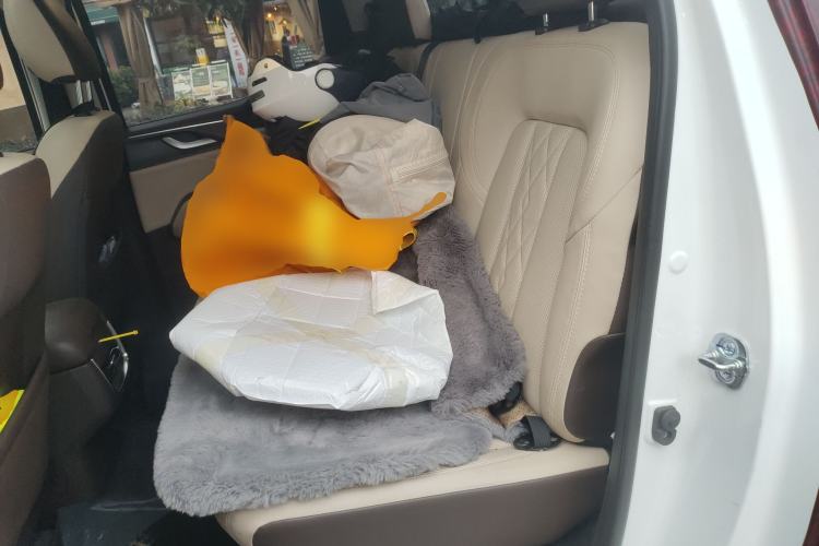 Used Dongfeng Ruichi 7 2022 2.3T Manual 4x4 Diesel Flagship M9T Left Rear Seat