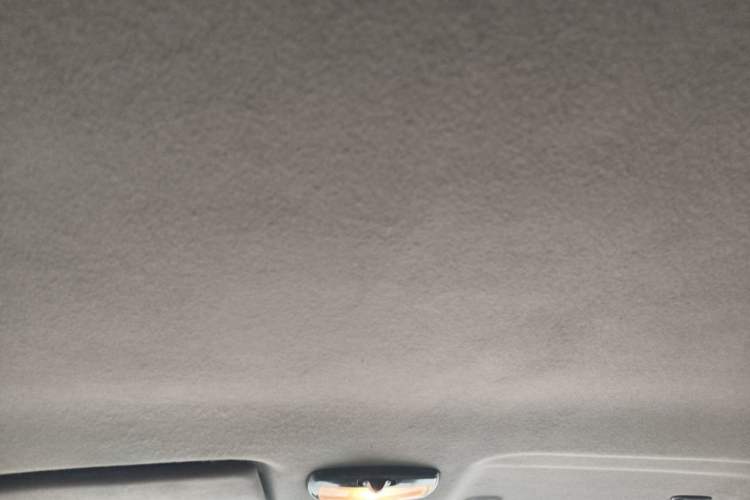 Used Dongfeng Shuaike 2010 1.6L Manual Utility Version Headliner