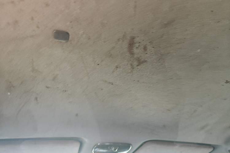 Used Dongfeng Shuaike 2011 1.6L Manual Luxury 7-Seater Headliner