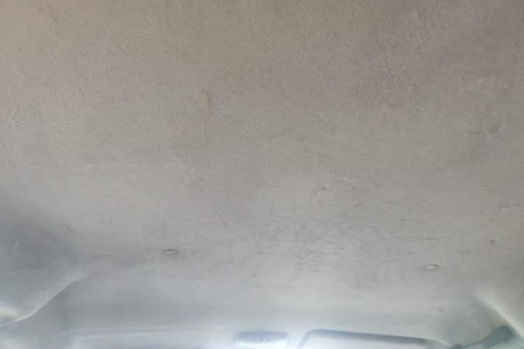 Used Dongfeng Shuaike 2012 2.0L Automatic Luxury 7-Seater Headliner