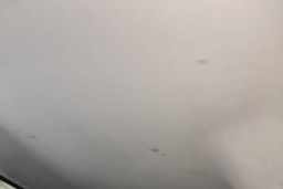 Thumbnail 19
