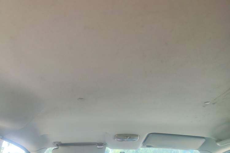 Used Dongfeng Shuaike 2016 1.6L Manual Luxury Model Headliner