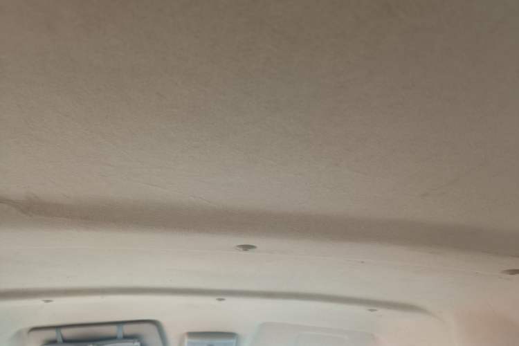 Used Dongfeng Xiaokang C36 2019 1.5L Base Version II China VI DK15 Headliner