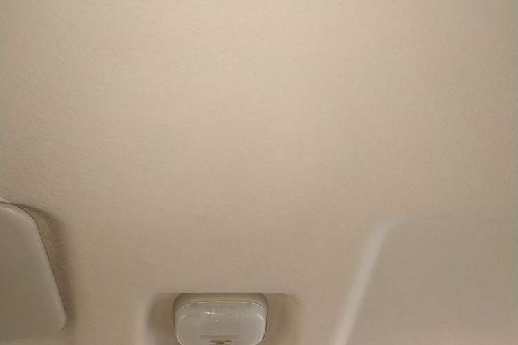 Used Dongfeng Xiaokang C51 2021 1.6L C51L Standard Model China VI SFG16C Headliner