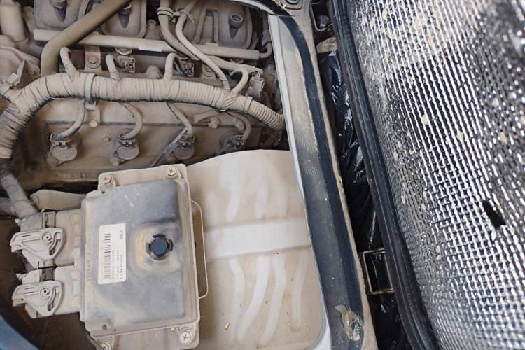 Used Dongfeng Xiaokang D52 2019 1.5L Revised Base Version with Dual Rear Wheels National Emission Standard VI DK15 Engine Bay Left