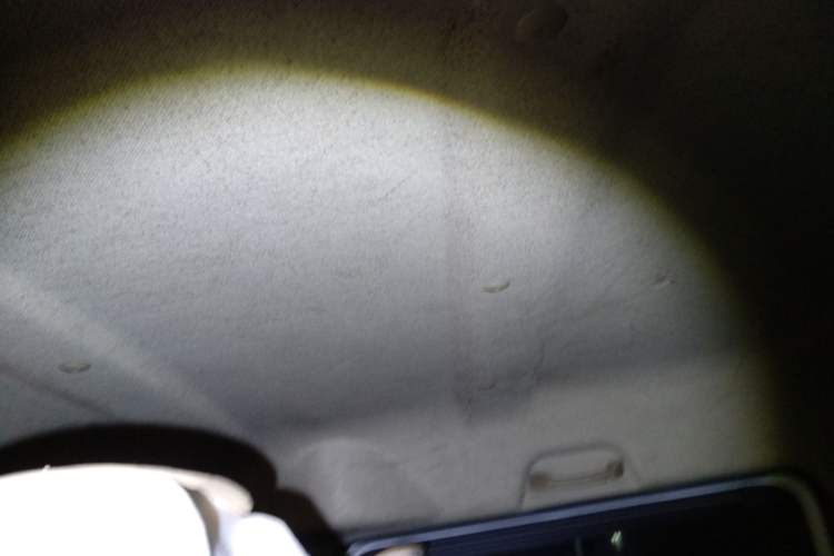 Used Dongfeng Xiaokang EC36 2020 Standard Model CATL Battery Headliner
