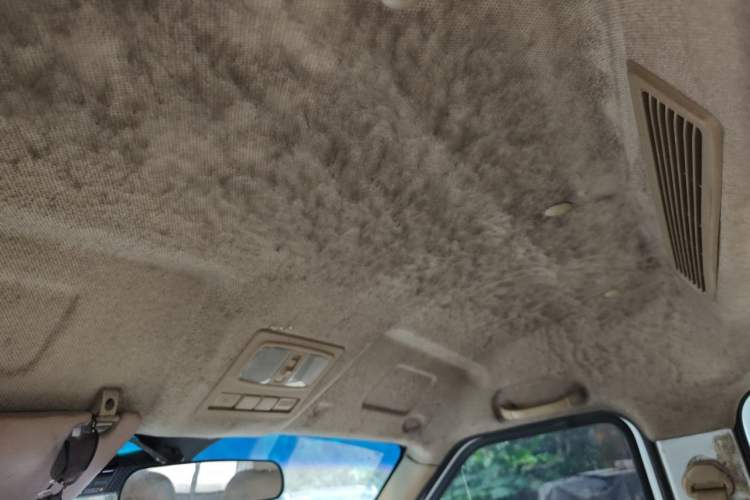 Used Dongfeng Xiaokang EC36 2021 Standard Model Ningde Times Battery Headliner