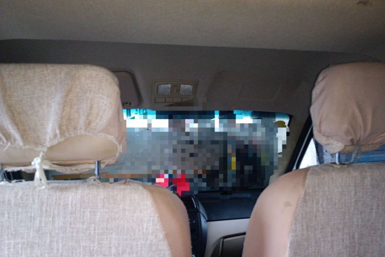 Used Dongfeng Xiaokang EC36 2022 Standard Edition CATL Battery Headliner