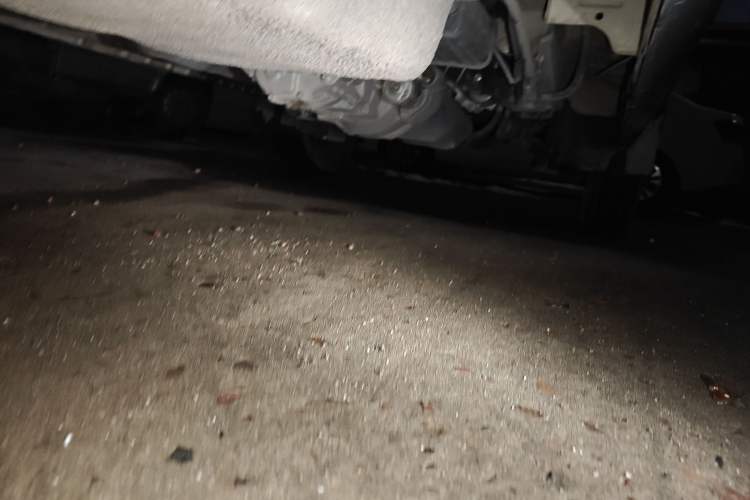 Used Dongfeng Xiaokang K05S 2019 1.2L Practical Version China VI Standard DK12 Chassis Rear Right