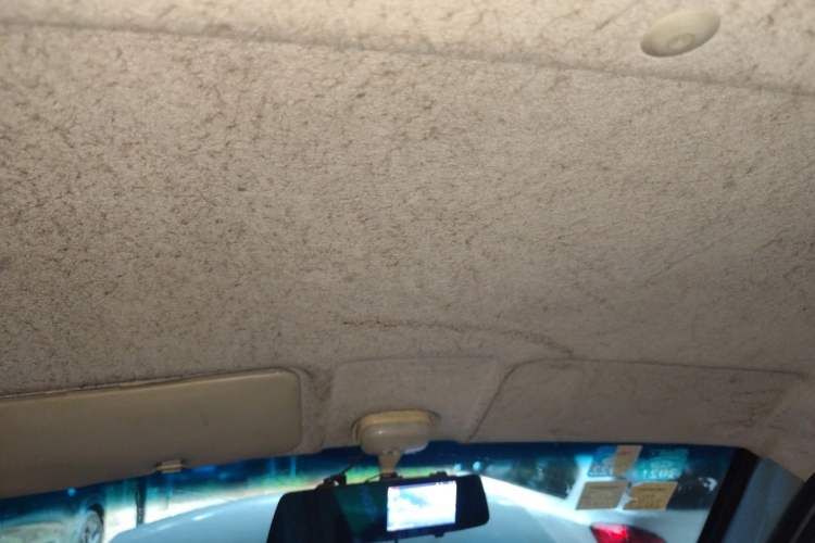 Used Dongfeng Xiaokang K07S 2019 1.2L Practical Version China VI Standard DK12 Headliner