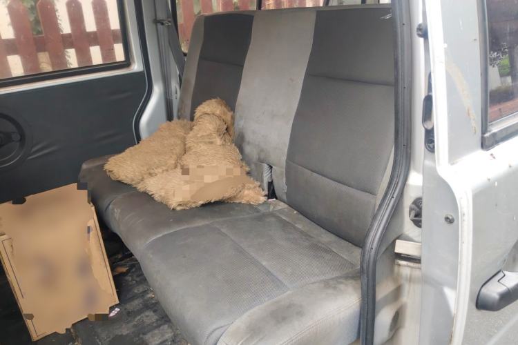 Used Dongfeng Xiaokang K07S  Left Rear Seat