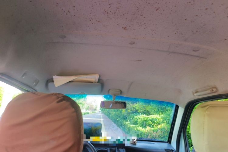 Used Dongfeng Xiaokang K17 2009 1.0L Base Version AF10-06 Headliner