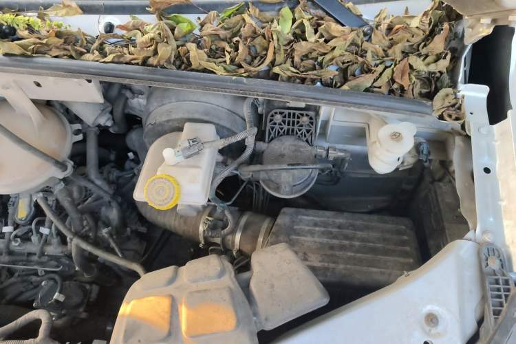 Used Dongfeng Yufeng 2023 V9+ 2.3T Manual Front-Drive Van Long Wheelbase Mid-Roof 3-Seater Engine Bay Left