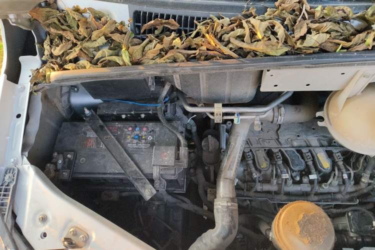 Used Dongfeng Yufeng 2023 V9+ 2.3T Manual Front-Drive Van Long Wheelbase Mid-Roof 3-Seater Engine Bay Right