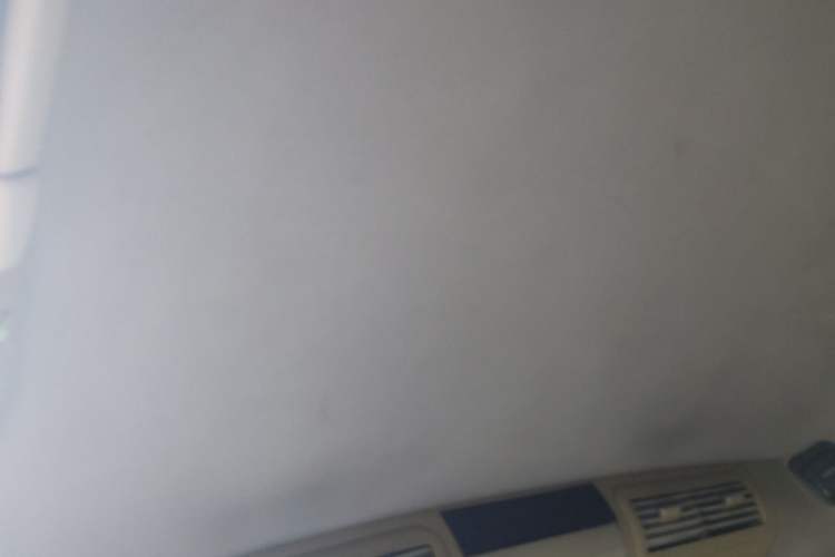 Used Dongfeng Yumsun 2009 2.5L Automatic Luxury Edition Headliner