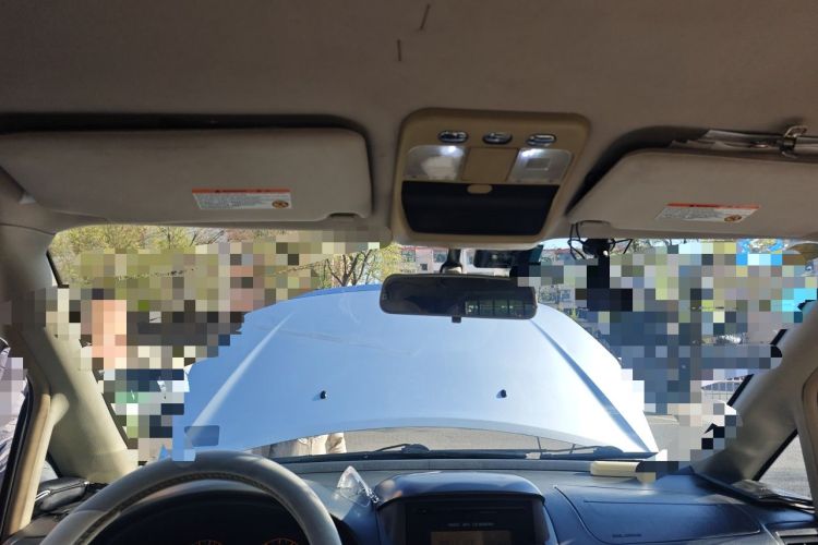Used Dongfeng Yumsun 2009 2.0L Manual Luxury Edition Headliner