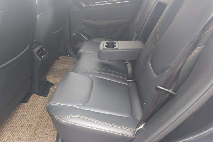 Used DORCEN G60S 2019 1.5T Automatic Luxury Version China VI Standard Left Rear Seat