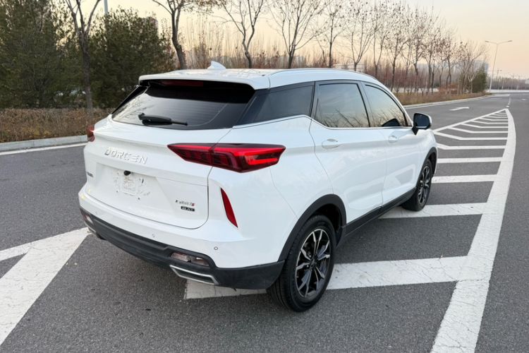 Used DORCEN G60S 2019 1.5T Automatic YueXiang Model China VI Standard Exterior 5
