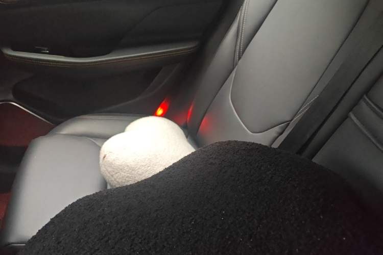 Used DORCEN G60S 2019 1.5T Automatic Luxury Version China VI Standard Left Rear Seat