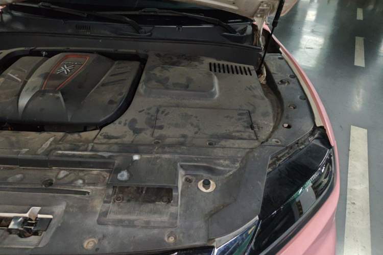 Used DORCEN G70s 2019 2.0T Automatic Prestige Edition Engine Bay Left