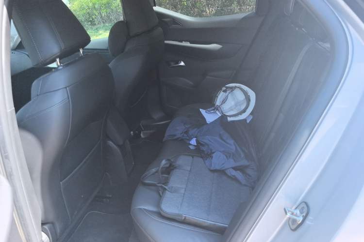 Used DS 3 New Energy 2021 E-Tense Left Bank Edition Left Rear Seat
