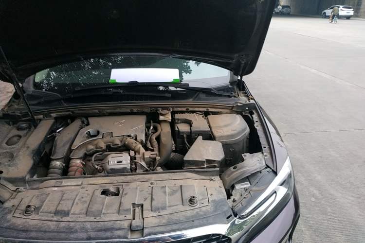 Used DS 4S 2016 1.6T Automatic Ruidong Version THP160 Engine Bay Left
