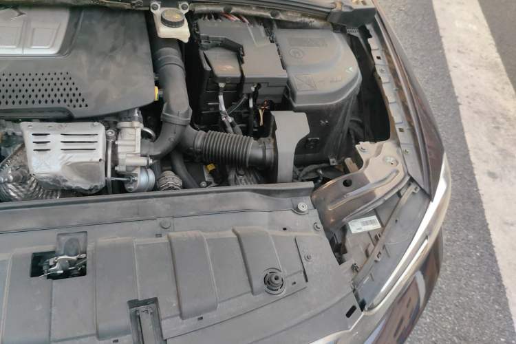 Used DS 4S 2016 1.2T Automatic Ruidong Version THP130 Engine Bay Left