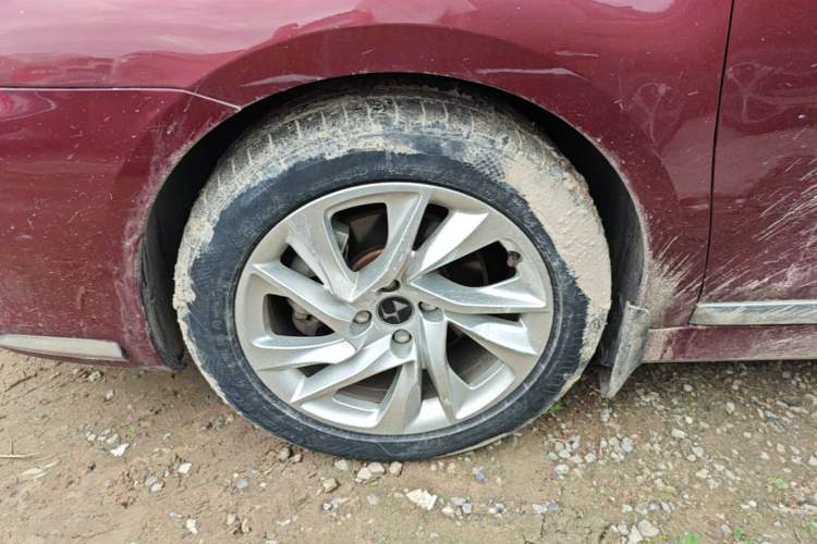 Used DS 4S 2016 1.6T Automatic Ruidong Version THP160 Exterior 4