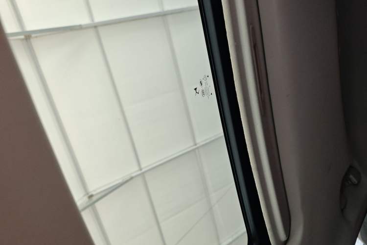 Used DS 4S 2016 1.6T Automatic Ruidong Version THP160 Headliner
