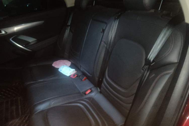 Used DS 4S 2016 1.6T Automatic Smart Edition THP160 Left Rear Seat