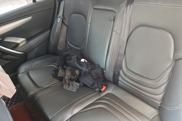 Used DS 4S 2016 1.6T Automatic Smart Edition THP160 Left Rear Seat