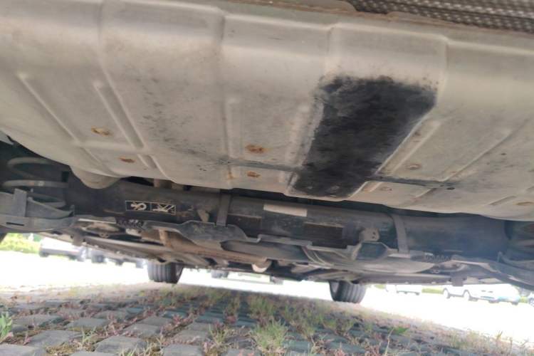 Used DS 4S 2016 1.6T Automatic Ruidong Version THP160 Chassis Rear