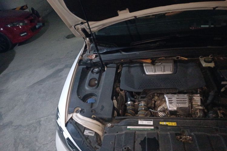 Used DS 4S 2016 1.2T Automatic Ruidong Version THP130 Engine Bay Right
