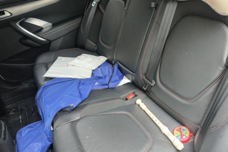 Used DS 4S 2016 1.6T Automatic Ruidong Version THP160 Left Rear Seat