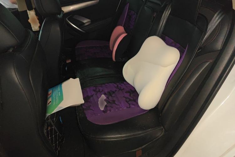 Used DS 4S 2016 1.6T Automatic Ruidong Version THP160 Left Rear Seat