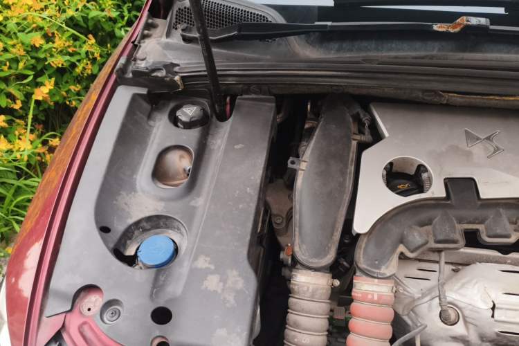 Used DS 4S 2018 30THP Enjoyment Model Engine Bay Right