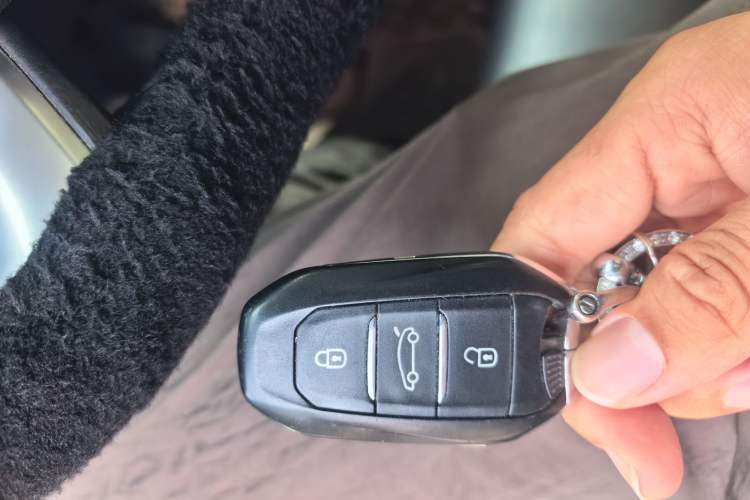 Used DS 5 2014 1.6T Elegant Version THP160 Vehicle Key