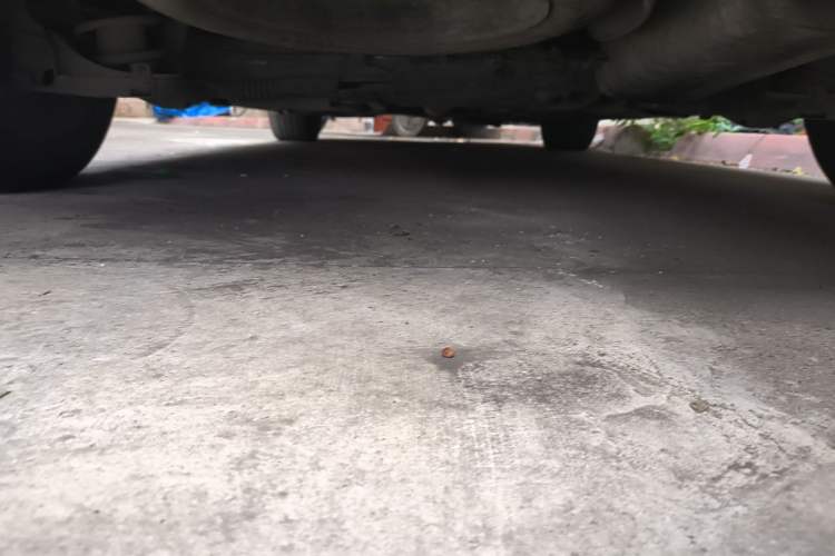 Used DS 5 2014 1.6T Elegant Version THP160 Chassis Rear