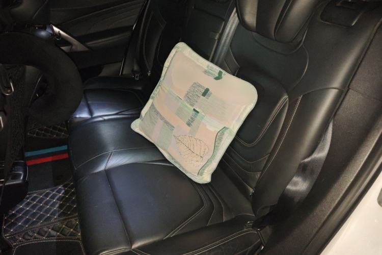 Used DS 5 2014 1.6T Luxury Edition THP200 Left Rear Seat
