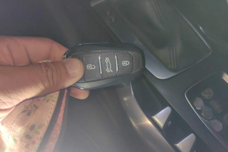 Used DS 5 2014 1.6T Luxury Edition THP160 Vehicle Key
