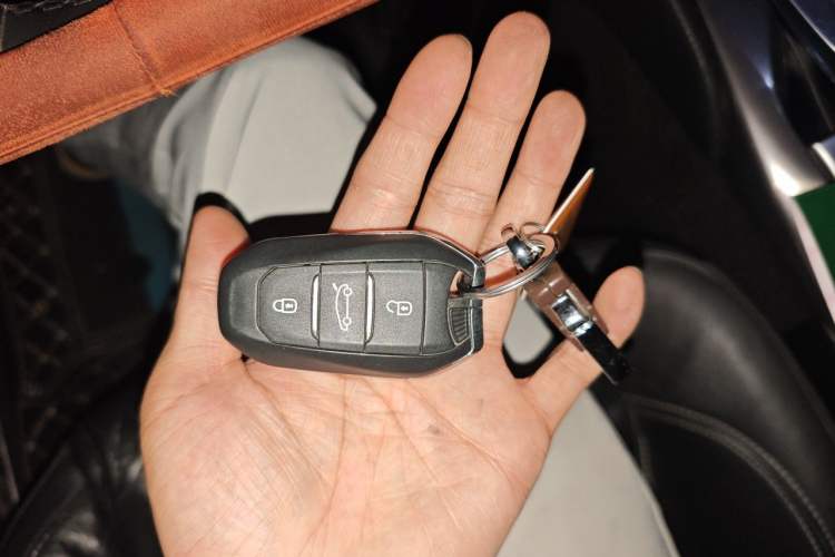 Used DS 5 2014 1.6T Luxury Edition THP200 Vehicle Key