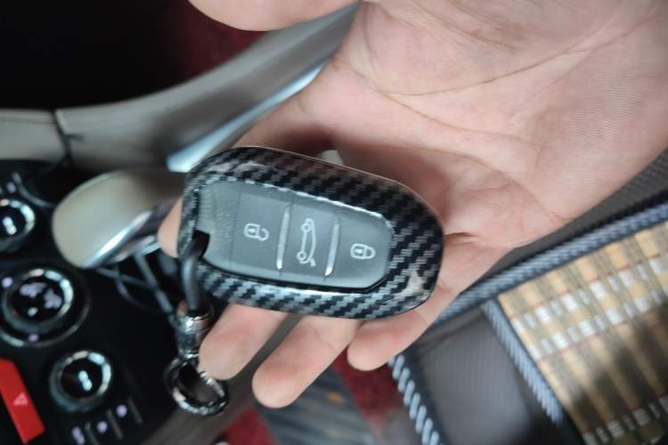 Used DS 5LS 2014 1.6T Prestige Edition THP200 Vehicle Key