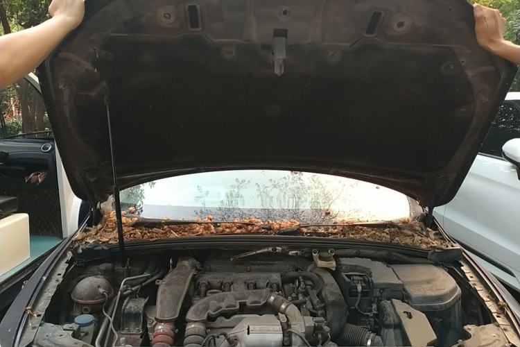Used DS 5LS 2014 1.6T Elegant Version THP160 Engine Bay