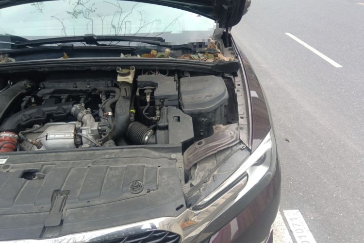 Used DS 5LS 2014 1.6T Elegant Version THP160 Engine Bay Left