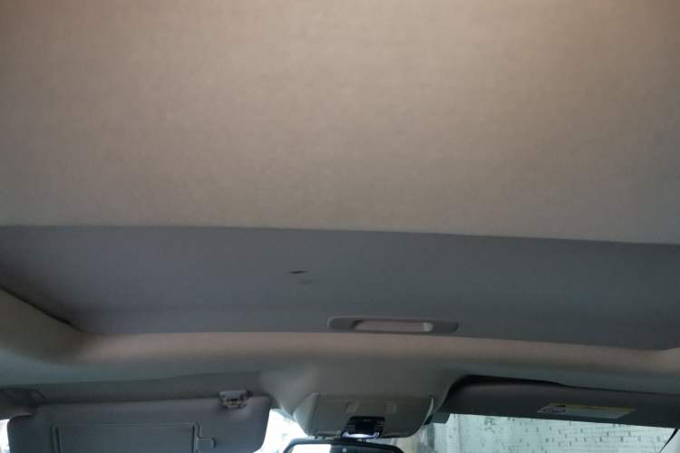 Used DS 5LS 2014 1.6T Elegant Version THP160 Headliner