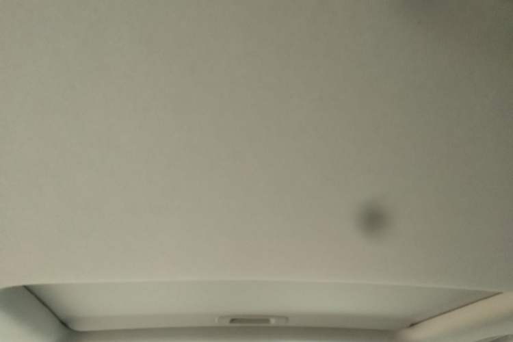 Used DS 5LS 2014 1.6T Luxury Edition THP160 Headliner
